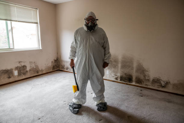 Best Post-Construction Mold Inspection  in Glendale, WI
