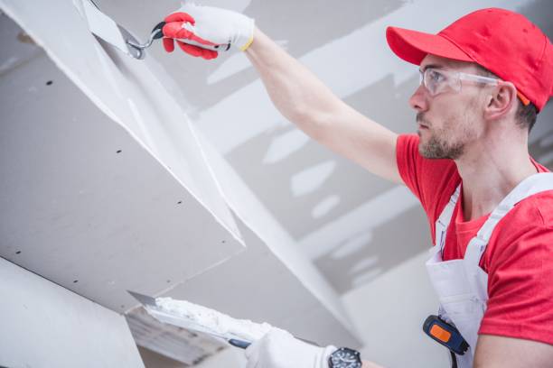Best Mold Documentation for Insurance Claims  in Glendale, WI