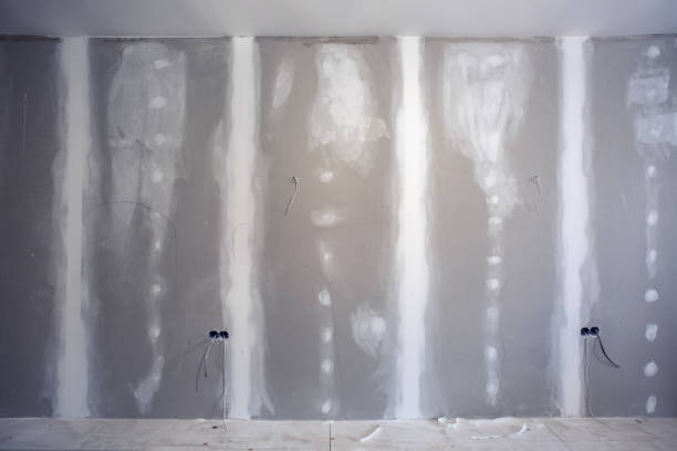 Best Mold-Related Health Consultation  in Glendale, WI